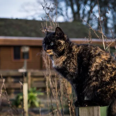 Vakantiehuis Bij De Appelhof