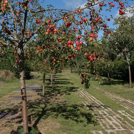 度假居 Bij De Appelhof 范肯斯沃德