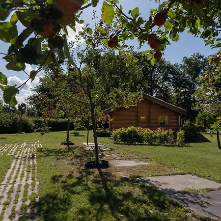 Bij De Appelhof * Valkenswaard