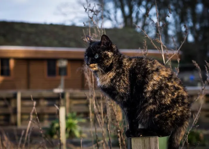 Сasa de vacaciones Bij De Appelhof