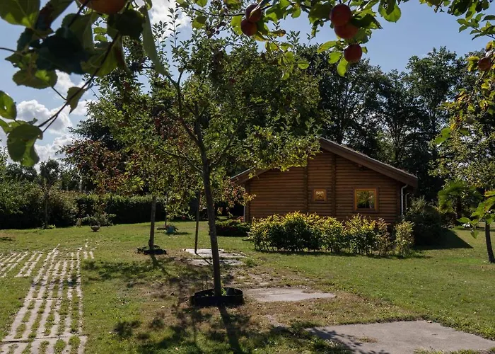 Bij De Appelhof * Valkenswaard