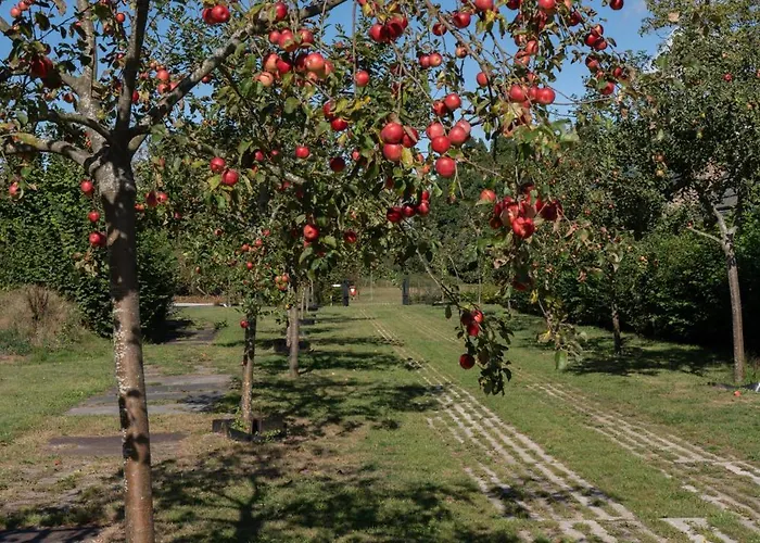 Semesterbostad Bij De Appelhof Valkenswaard